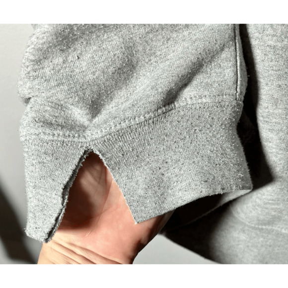 Vintage Champion Urban Outfitters Songbird Gray Hoodie Sz Small Rare - Picture 9 of 11